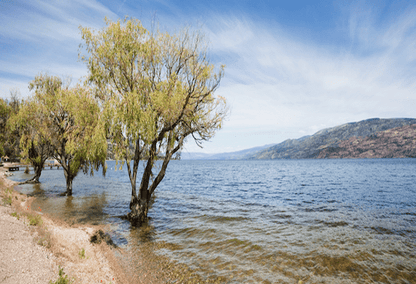 Waterfront in Peachland, British Columbia