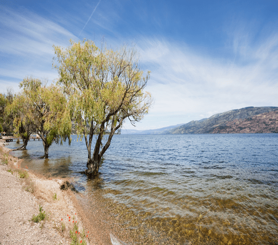 Peachland BC Real Estate, Homes, Condos For Sale Okanagan Property Group